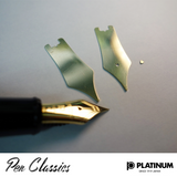 Platinum #3776 Century Shape of a Heart Nib Blank